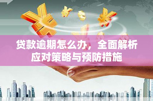 圣方济各堂区贷款逾期怎么办，全面解析应对策略与预防措施
