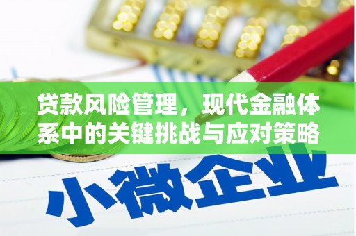圣方济各堂区贷款风险管理，现代金融体系中的关键挑战与应对策略