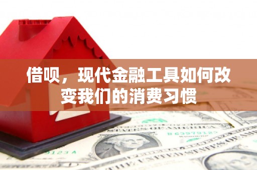 圣方济各堂区借呗，现代金融工具如何改变我们的消费习惯