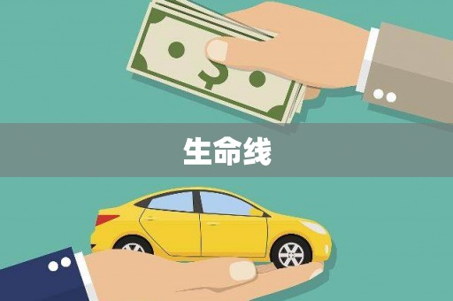 圣方济各堂区生命线