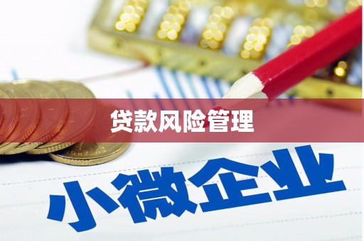 圣方济各堂区贷款风险管理