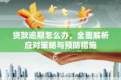 圣方济各堂区贷款逾期怎么办，全面解析应对策略与预防措施