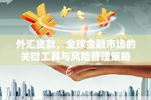 圣方济各堂区外汇贷款，全球金融市场的关键工具与风险管理策略