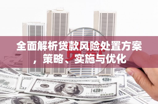 圣方济各堂区全面解析贷款风险处置方案，策略、实施与优化