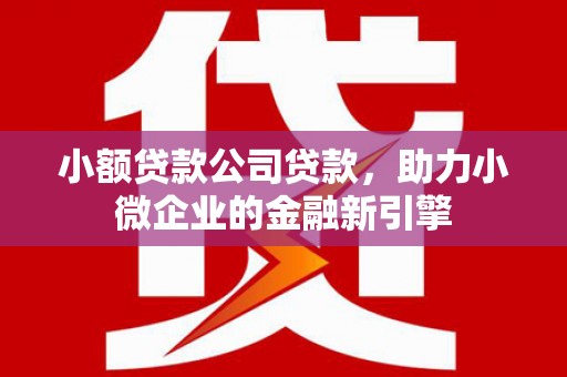 圣方济各堂区小额贷款公司贷款，助力小微企业的金融新引擎