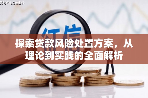 圣方济各堂区探索贷款风险处置方案，从理论到实践的全面解析