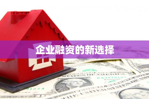 圣方济各堂区企业融资的新选择