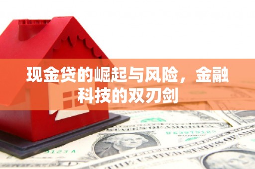 圣方济各堂区现金贷的崛起与风险，金融科技的双刃剑