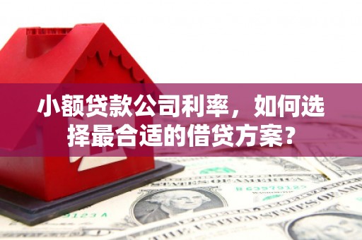 圣方济各堂区小额贷款公司利率，如何选择最合适的借贷方案？