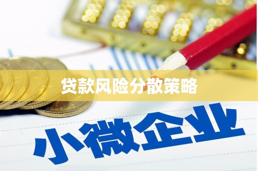 圣方济各堂区贷款风险分散策略
