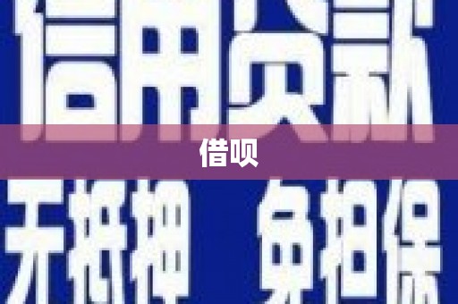 圣方济各堂区借呗