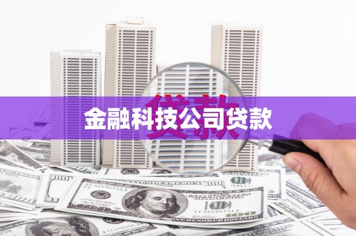 圣方济各堂区金融科技公司贷款