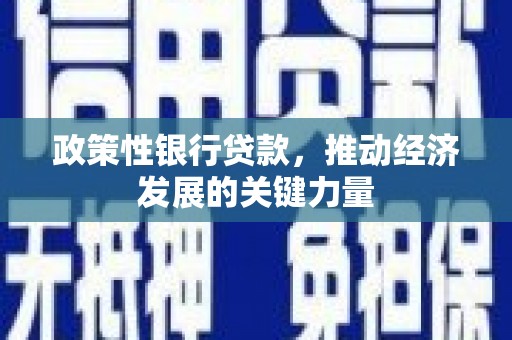 圣方济各堂区政策性银行贷款，推动经济发展的关键力量