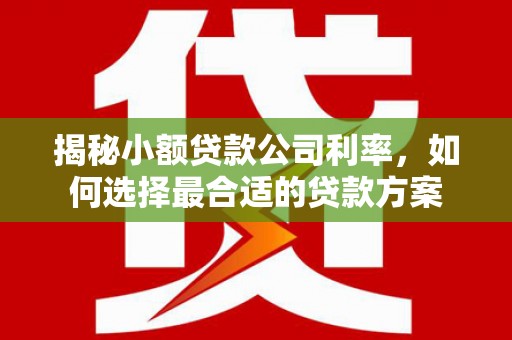 圣方济各堂区揭秘小额贷款公司利率，如何选择最合适的贷款方案