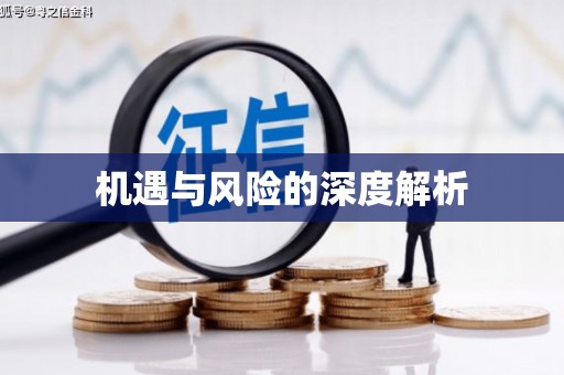 圣方济各堂区机遇与风险的深度解析