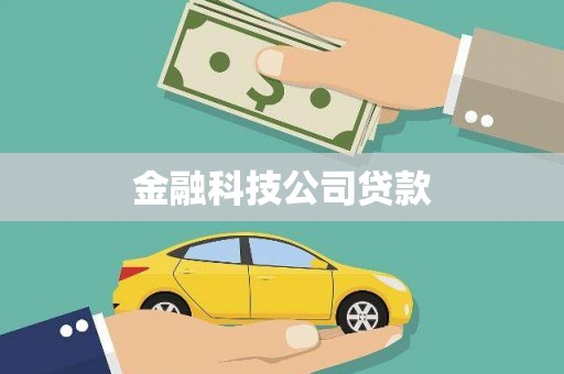 圣方济各堂区金融科技公司贷款