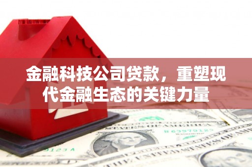 圣方济各堂区金融科技公司贷款，重塑现代金融生态的关键力量