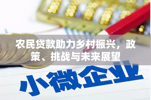 圣方济各堂区农民贷款助力乡村振兴，政策、挑战与未来展望