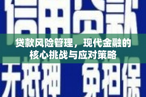 圣方济各堂区贷款风险管理，现代金融的核心挑战与应对策略