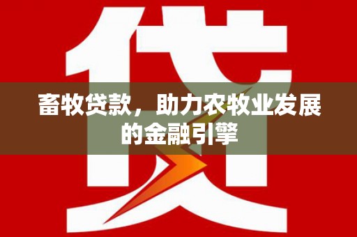 圣方济各堂区畜牧贷款，助力农牧业发展的金融引擎