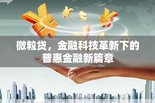 圣方济各堂区微粒贷，金融科技革新下的普惠金融新篇章