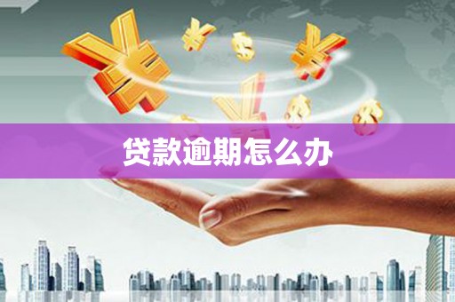 圣方济各堂区贷款逾期怎么办