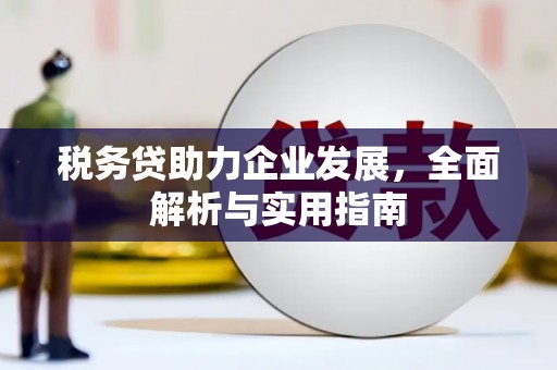圣方济各堂区税务贷助力企业发展，全面解析与实用指南