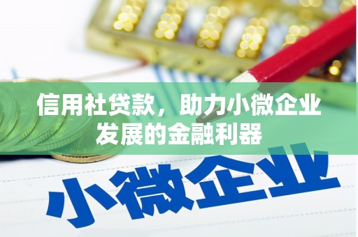 圣方济各堂区信用社贷款，助力小微企业发展的金融利器