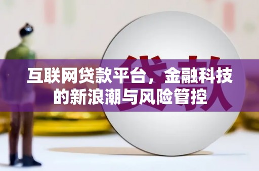 圣方济各堂区互联网贷款平台，金融科技的新浪潮与风险管控