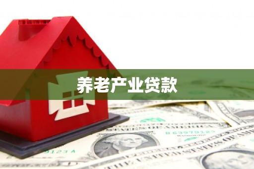 圣方济各堂区养老产业贷款