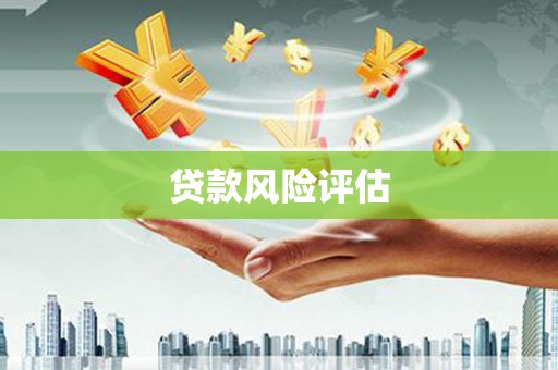 圣方济各堂区贷款风险评估