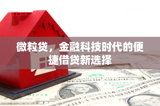 圣方济各堂区微粒贷，金融科技时代的便捷借贷新选择