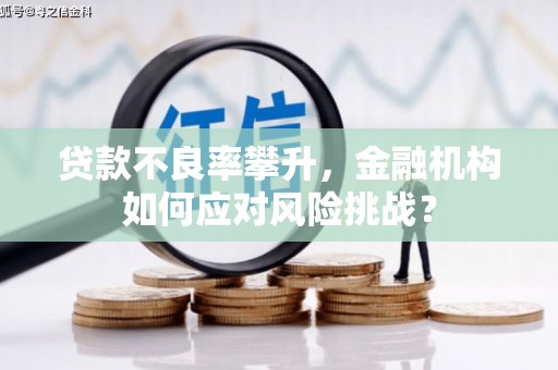 圣方济各堂区贷款不良率攀升，金融机构如何应对风险挑战？