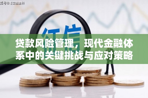 圣方济各堂区贷款风险管理，现代金融体系中的关键挑战与应对策略