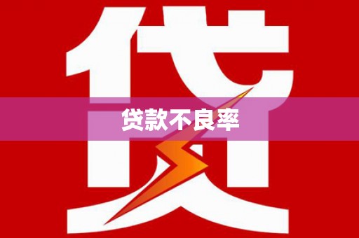 圣方济各堂区贷款不良率