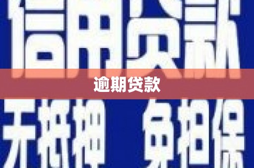 圣方济各堂区逾期贷款