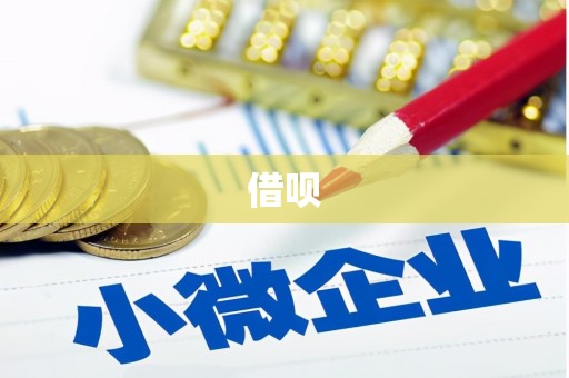 圣方济各堂区借呗