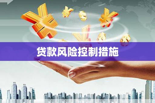 圣方济各堂区贷款风险控制措施