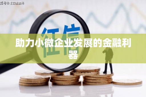 圣方济各堂区助力小微企业发展的金融利器