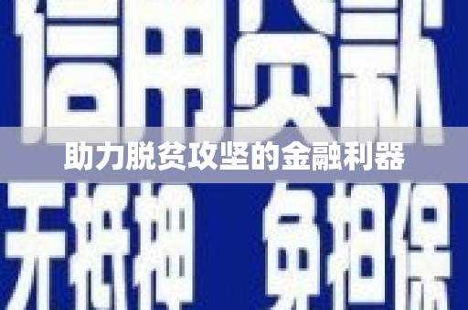 圣方济各堂区助力脱贫攻坚的金融利器