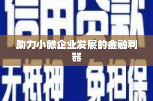 圣方济各堂区助力小微企业发展的金融利器