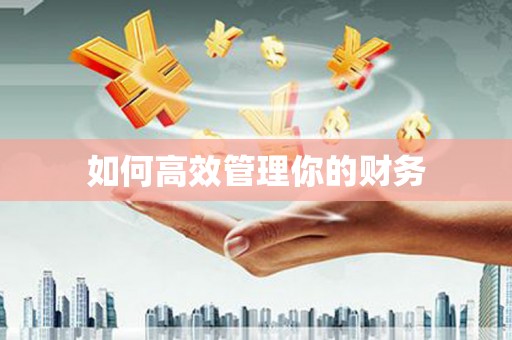 圣方济各堂区如何高效管理你的财务