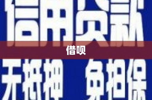 圣方济各堂区借呗