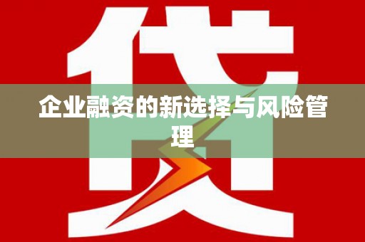 圣方济各堂区企业融资的新选择与风险管理