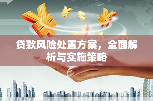 圣方济各堂区贷款风险处置方案，全面解析与实施策略