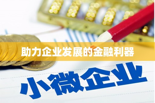 圣方济各堂区助力企业发展的金融利器