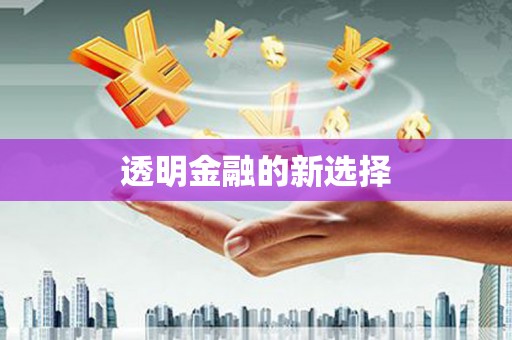 圣方济各堂区透明金融的新选择
