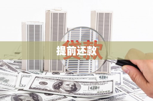 圣方济各堂区提前还款
