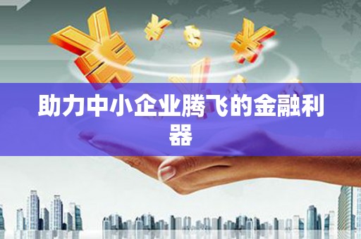 圣方济各堂区助力中小企业腾飞的金融利器