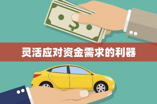 圣方济各堂区灵活应对资金需求的利器